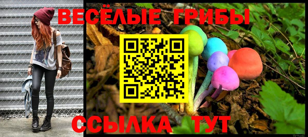 Галлюциногенные грибы Magic Shrooms Горно-Алтайск